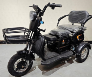 Trimoto Eléctrica Pic Runner 600W 48V/20Ah
